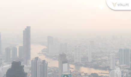 Bụi có hại và PM2.5 không chỉ gây hại cho phổi