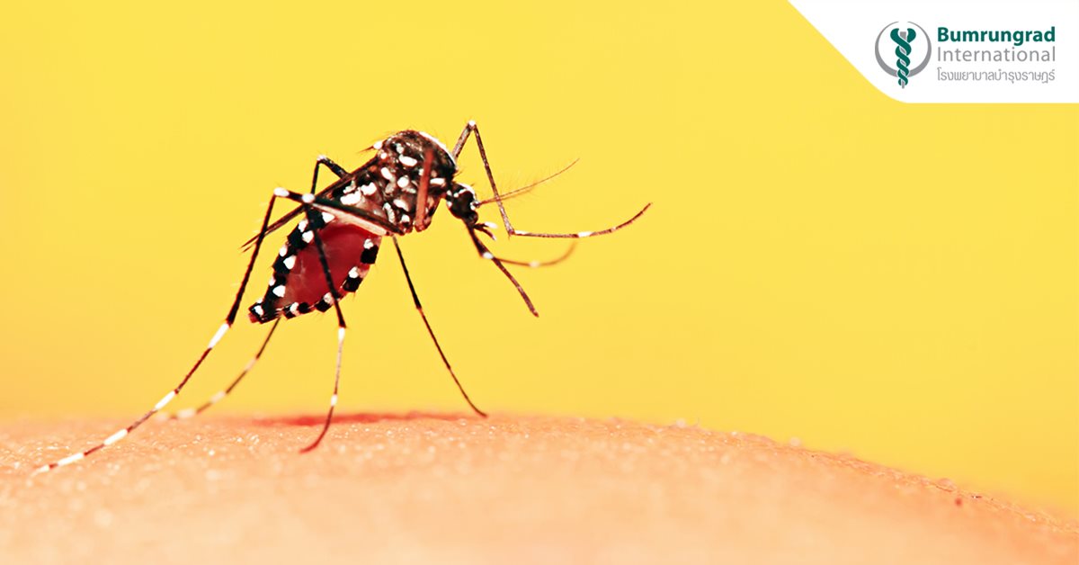 Bệnh Chikungunya... Một căn bệnh khác lây lan qua muỗi