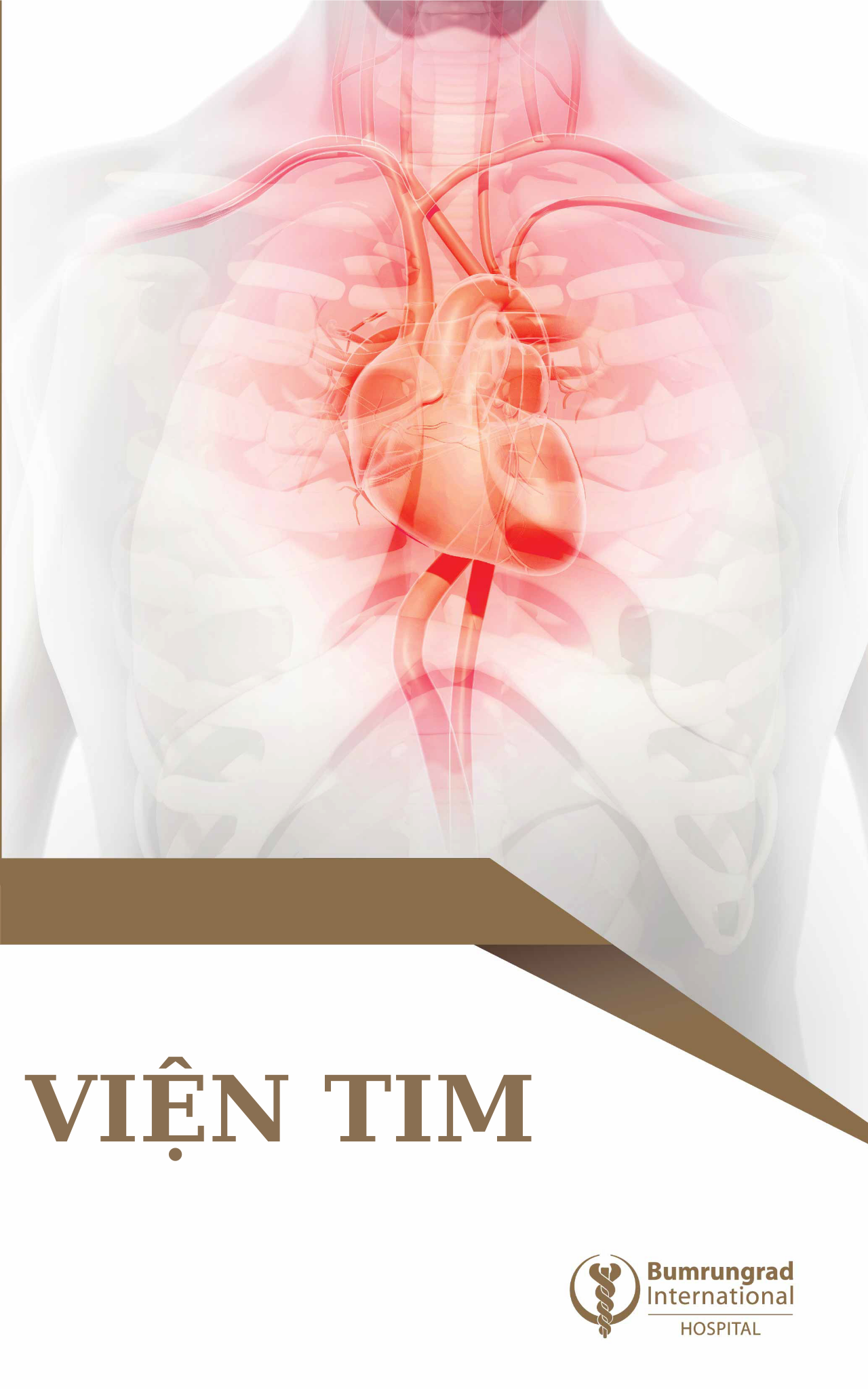 Viện Tim 