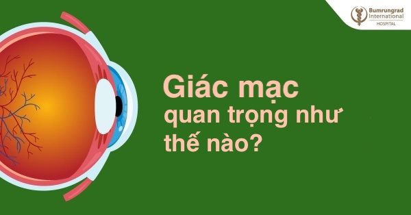 Giác mạc quan trọng như thế nào?