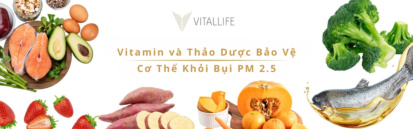 Vitamin và Thảo Dược Bảo Vệ Cơ Thể Khỏi Bụi PM 2.5