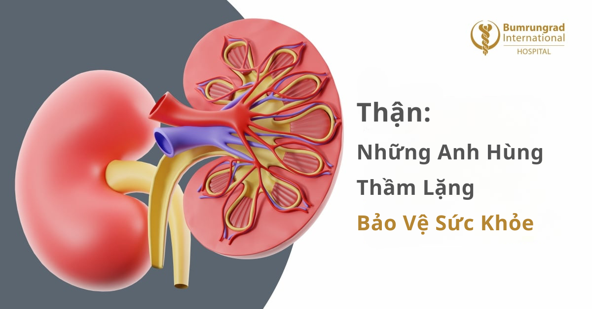 Thận: Những Anh Hùng Thầm Lặng Bảo Vệ Sức Khỏe Bạn