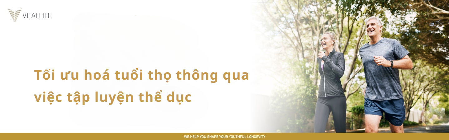 Tối Ưu Hóa Tuổi Thọ Thông Qua Tập Luyện Thể Dục