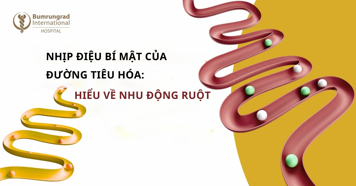 Nhịp Điệu Bí Mật Của Đường Tiêu Hóa: Hiểu Về Nhu Động Ruột